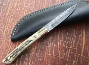 CUSTOM HANDMADE DAMASCUS STEEL SKINNER KNIFE WITH STAG HANDLE AND LEATHER SHEATH