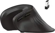 iClever Ergonomic Wireless Mouse, TM209G 2.4G Vertical Ergonomic Optical Mouse