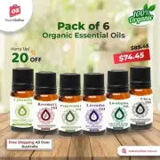 Pure essential oils set 100% Organic Aromatherapy/ Oils for Diffuser
