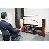 在飛比找Yahoo!奇摩拍賣優惠-日本 DENON 天龍 SC-EN10 雙色 Dolby A