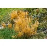 Faller Reeds