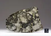 NWA 15658 - 45g - HED Eucrite melt breccia - Meteorite