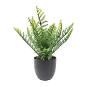 Urban Fern 29cm Artificial Potted Faux Plant Fake Plastic Indoor Home Decor GRN