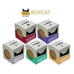 【萬倍富】BOXCAT 國際貓家 貓砂 全系列