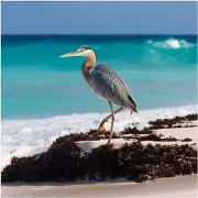 Heron Beach Birds Wildlife Kitchen Bathroom Wall Backsplash Marble Ceramic