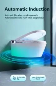 Smart Toilet - Wall hung Smart toilet With Cistern, Remote And Wall push Button