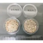 《青貝》生漆材料 貝殼碎片 螺鈿碎片