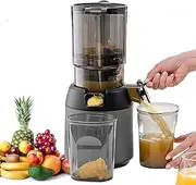 Masticating Juicer Machines Juicer, 300W Slow Cold Press Juicer Juicer, Cold Press Masticating Juicer with 13cm Feeding Chute, Pomace Separation Juicer Fit Whole Fruits Vegetables Gray