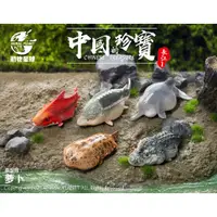 在飛比找蝦皮購物優惠-【撒旦玩具 SatanToys】現貨 動物星球 【中國的珍寶