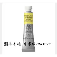 在飛比找蝦皮購物優惠-同色3入 WINSOR&NEWTON Professiona