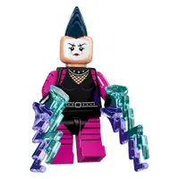 在飛比找蝦皮購物優惠-樂高 lego batman_71017_20