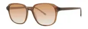 Paradigm 20-55 Sunglasses Sun Glasses Umber Authentic New 55mm Unisex