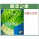 大包裝A05.切葉小白菜種子200克 種子 園藝 園藝用品 園藝資材 園藝盆栽 園藝裝飾