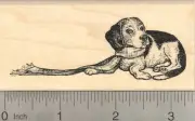 Holiday Beagle Rubber Stamp, Christmas Dog with Scarf J23016 WM