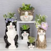 Shudehill Giftware Moggy Pots Planter Black & White or Ginger Cute Cat Plant Pot
