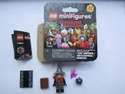 LEGO Tasha the Witch Queen Minifigures 71047 Dungeons and Dragons CMF Minifigure