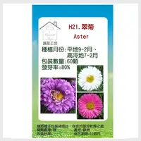 在飛比找PChome24h購物優惠-【蔬菜工坊】H21.翠菊(蜜蕾，混合色，高25cm)種子