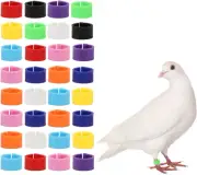100PCS Poultry Leg Rings Quail Clip on Foot Bands for Chicks Pullets Tiny Bantam