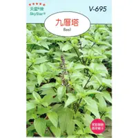 在飛比找蝦皮購物優惠-四季園 九層塔 紅骨【穗耕種苗】天星牌 蔬菜種子 原包裝種子