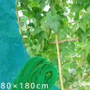 Newest Climbing Frame Net Garden New Accessories Bean Fence Grow Parts