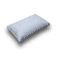 在飛比找森森購物網優惠-LooCa 羽毛超柔眠獨立筒機能枕2顆