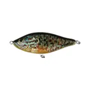Biwaa Raffal Glidebait Lure 5in