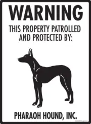 Warning! Pharaoh Hound - Property Protected Aluminum Dog Sign - 9" x 12"