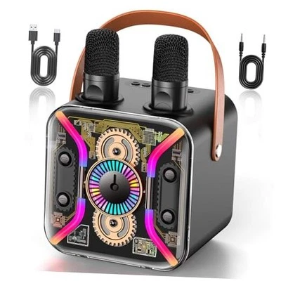 Karaoke Machine for Adults with Two Wireless Microphones, PA System Bluetooth
