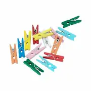 24pk Assorted Mini Wooden Pegs