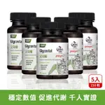 【HERBMAX 大荷生研】立切醣苦瓜肉桂 膠囊 30粒/瓶*5入(專利山苦瓜萃取+專利肉桂萃取+武靴葉萃取)