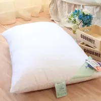在飛比找momo購物網優惠-【R.Q.POLO】日本東麗防蹣抗菌壓縮枕/枕心枕頭(2入)