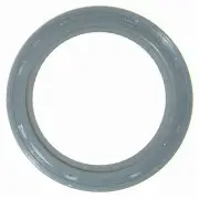 Fel-Pro TCS 45473 Camshaft Seal For Select 71-04 Ford Mercury Morgan Models (for: Ford)