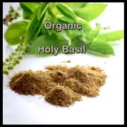 ✅ORGANIC TULSI LEAF HOLY BASIL POWDER ANTIOXIDANT Boosting the immune system