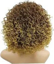 HAPINARY High Material Women Short Curly Wigs Brown Mixed Wig Cosplay Wig Comfortable and Reusable