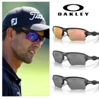 在飛比找momo購物網優惠-【Oakley】FLAK 2.0 XL 偏光運動太陽眼鏡(O