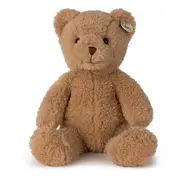 Gus the Homie Bear in Giftbox