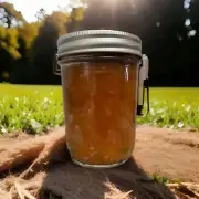 The Best Sugar Free Apricot Jam Around Delicious And Tasty