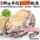 買2件送挪威鯖魚3片【海肉管家】鮮凍半殼2XL鮑魚 共2盒(每盒10~12顆/1kg)