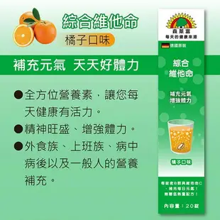 SUNLIFE 森萊富 發泡錠 20錠 24錠 維他命C1000 C 鎂 B群+電解質 鐵+C 鋅+C+E 綜合維他命 【立赫藥局】