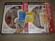 New Learning Resources Anatomy Models Bundle Set Body Skeleton Heart and Brain