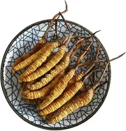 3 Grams Cordyceps Sinensis Chinese Caterpillar Fungus(Dong Chong Xia Cao),Wild Cordyceps,100% Wild Himalayan Cordyceps Sinensis.