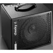 AER Cheeky D 200W Electric Guitar Amplifier with 10" Speaker and Digital Effects