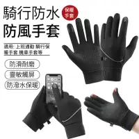 在飛比找momo購物網優惠-【AOAO】防風加絨保暖手套 防滑手套 觸控手套 防水手套 