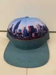 mitchell & ness chicago bulls skyline snapback hat cap new rare