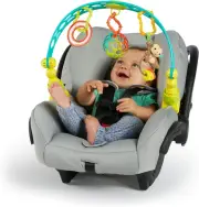 Bright Starts Oball Flex 'N Go Activity Arch Stroller or Carrier Take-Along T...