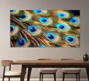 Peacock Feather Abstract Animal Paint Wall Art Canvas Unframed Print Art