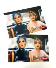 Supreme Nan Goldin Misty Jimmy Paulette SS18 Sticker Decal FREE SHIPPING