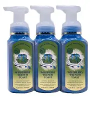 BATH & BODY WORKS GENTLE CLEAN FOAMING HAND SOAP Wild Berry French Toast NEW