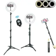 LINCO 10" Ring Light Tripod Stand 80" with Phone Holder for TikTok Video Photo