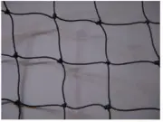 Heron and Critter Protection 2" Mesh 25'x30" KWNH2530